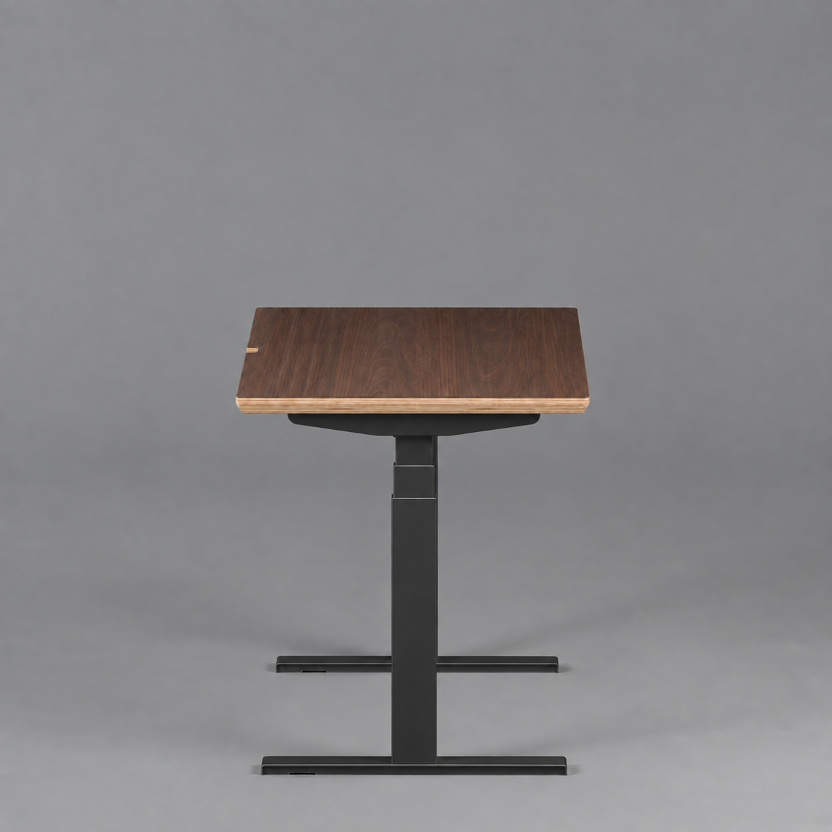 Model 301 Electric Standing Desk | Walnut Veneer | 48 x 24 in | Black Legs