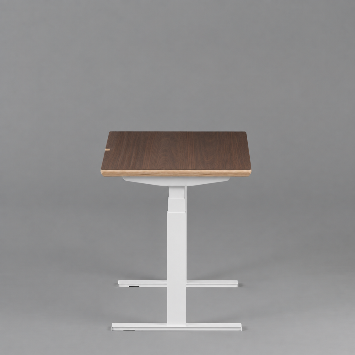 Model 301 Electric Standing Desk | Walnut Veneer | 55 x 27 in | White Legs
