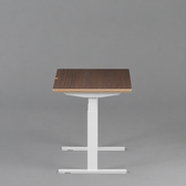 Model 301 Electric Standing Desk | Walnut Veneer | 55 x 27 in | White Legs
