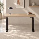 Model 301 Electric Standing Desk | Oak Veneer | 55 x 27 in | Black Legs