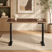 Model 301 Electric Standing Desk | Walnut Veneer | 48 x 24 in | Black Legs