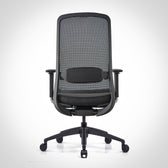Black nylon base ergonomic office chair with mesh back and adjustable lumbar support, rear view