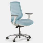 Blue Erg Front ergonomic office chair with mesh back, adjustable arms, and wheels