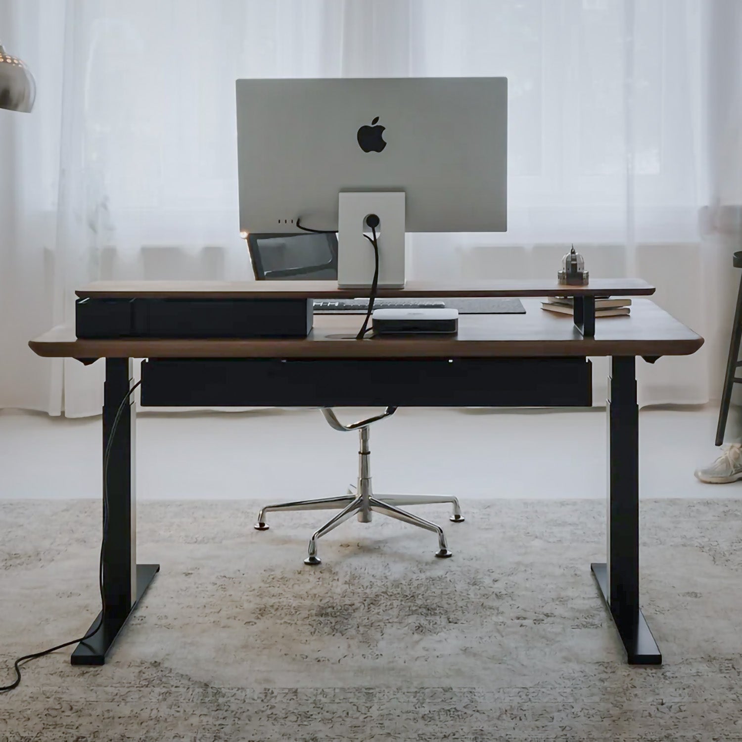Model 304 | Solid Wood Height Adjustable Desk (55"x28") | Walnut | White Legs