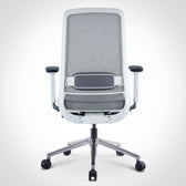 Pelicanwork ergonomic office chair Model 13 in light grey, mesh back, lumbar support, armrests.