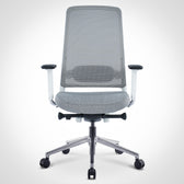 Pelicanwork ergonomic office chair in grey with mesh backrest and adjustable armrests