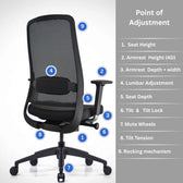 Black ergonomic office chair with adjustable lumbar support and multiple adjustment points