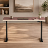 Model 301 Electric Standing Desk | Rosso | 55 x 27 in | Black Legs