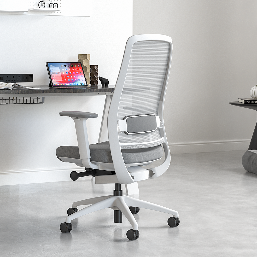 Model 54  Ergonomic Office Chair  | White/Grey | Nylon Base