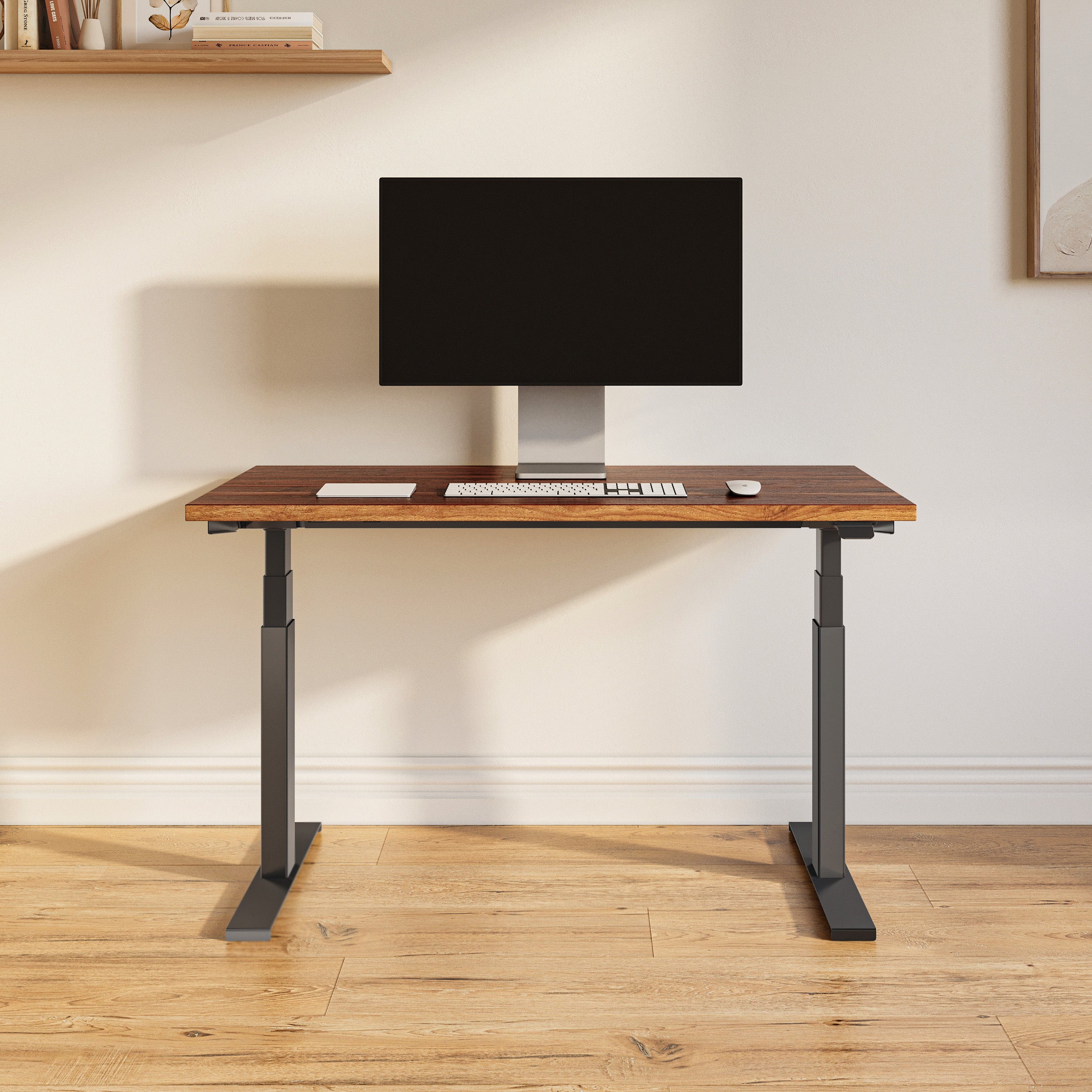 Model 301  - Standing Desk (48"x24")