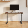 Model 301  - Standing Desk (48